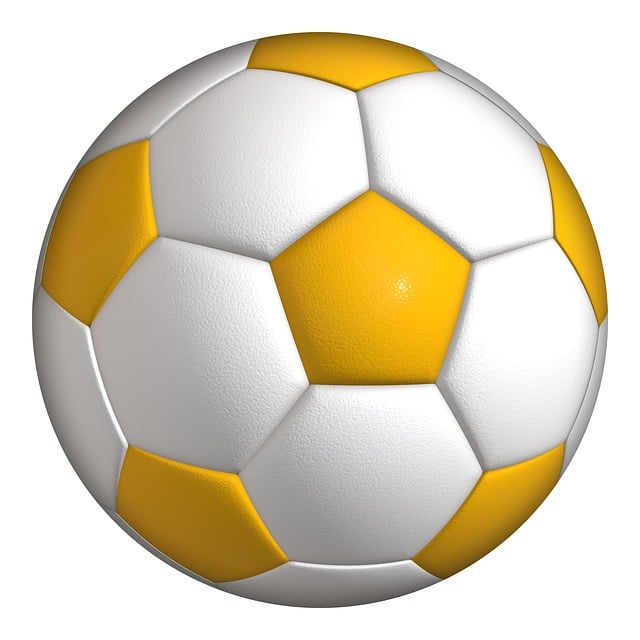 世界杯,塞内加尔国,家队简介,世界杯投注,2026世界杯,投注技巧,最佳平台,在线投注