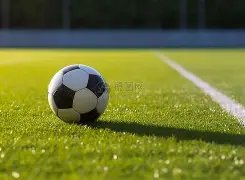 世界杯,塞内加尔国,家队简介,世界杯投注,2026世界杯,投注技巧,最佳平台,在线投注